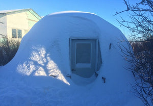 The Arctic Dome